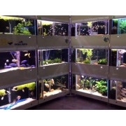 Магазин аквариумов