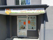 Дай лапу друг