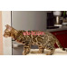 Питомник животных Питомник бенгальских кошек Sunhunters - на портале kreativby.su