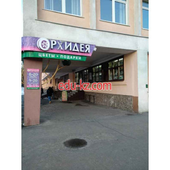 Магазин подарков и сувениров - Орхидея Магазин подарков и сувениров Орхидея - на портале kreativby.su