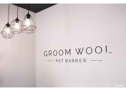 Groom Wool