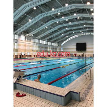 Спортивный клуб, секция Swimmer School - на портале kreativby.su