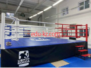 Спортивный клуб, секция Центр бокса - на портале kreativby.su