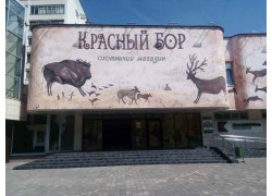 Красный бор