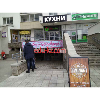 Спортивный инвентарь и оборудование Доминант Бордшоп - на портале kreativby.su